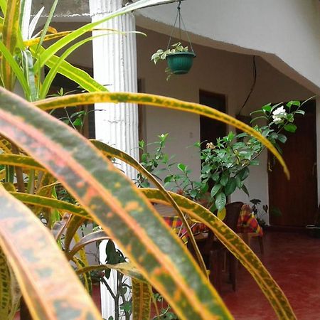 Winstar Homestay Sigirija Zewnętrze zdjęcie