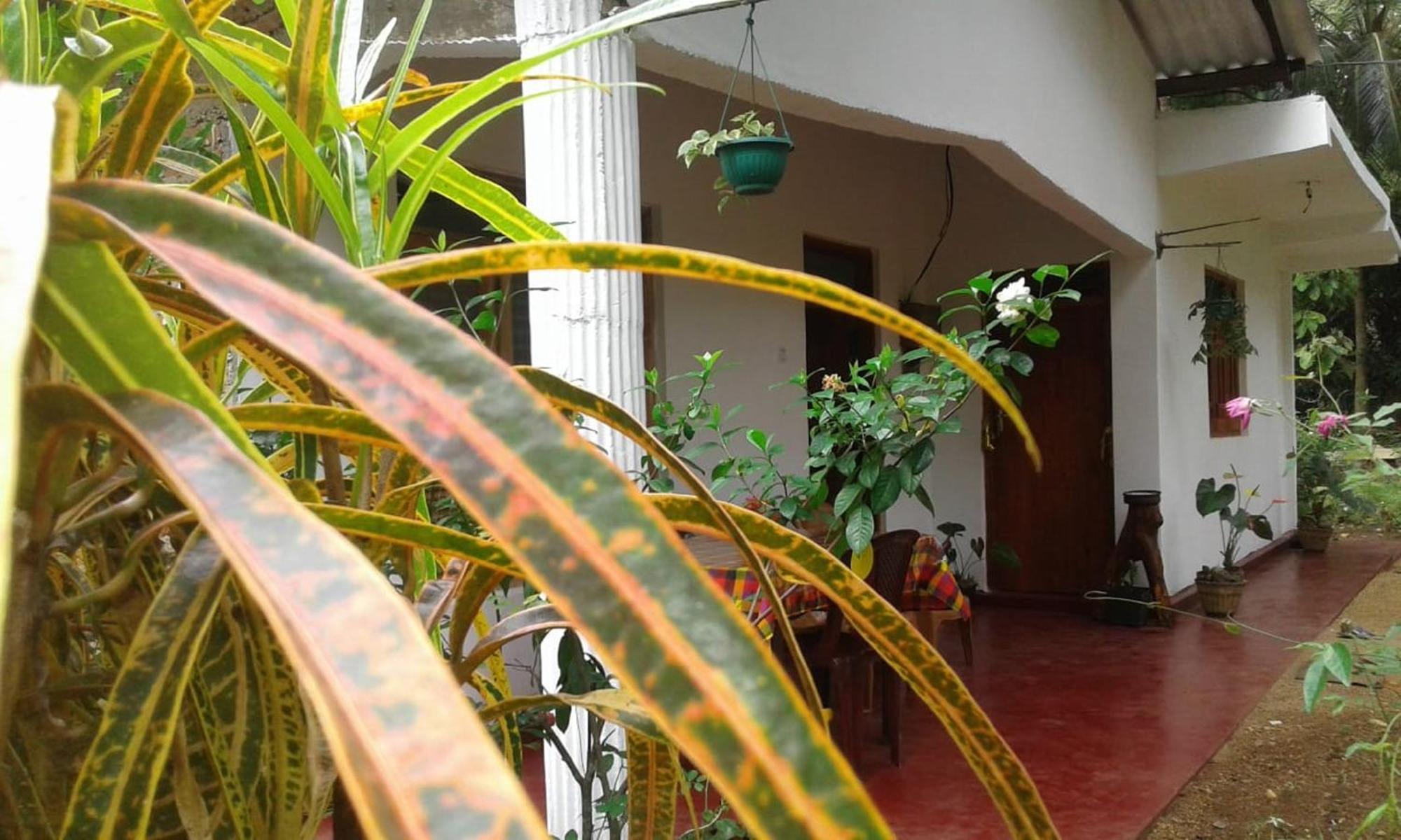 Winstar Homestay Sigirija Zewnętrze zdjęcie